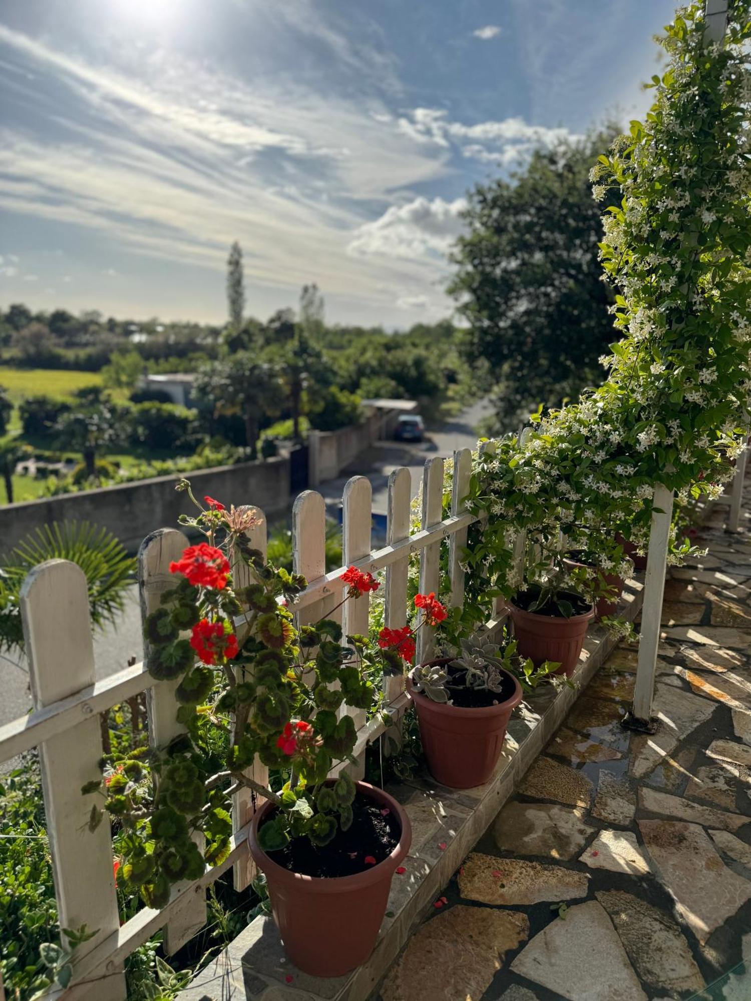 Vila Horizont Baks-Rrjoll Dış mekan fotoğraf