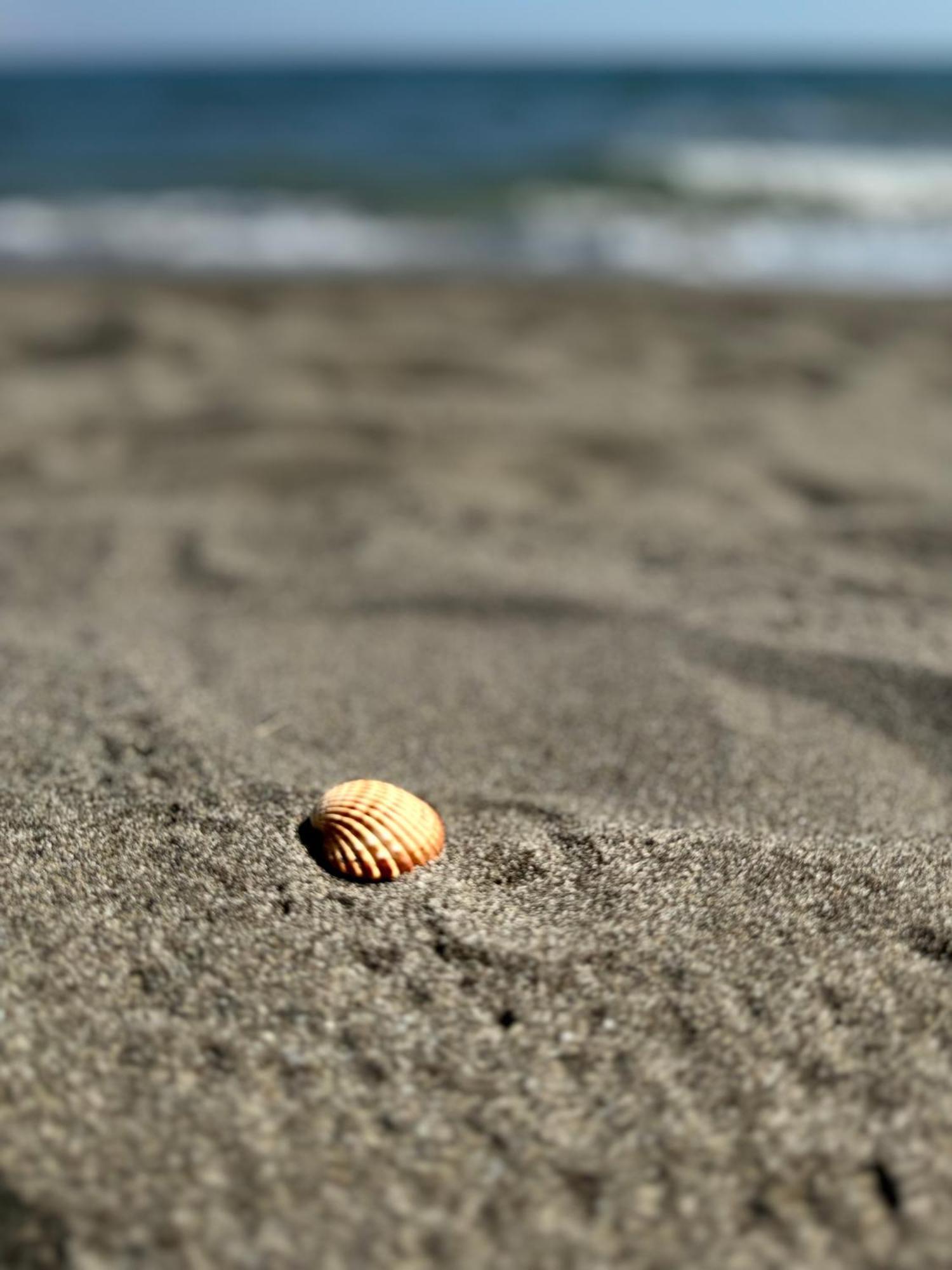 Vila Horizont Baks-Rrjoll Dış mekan fotoğraf