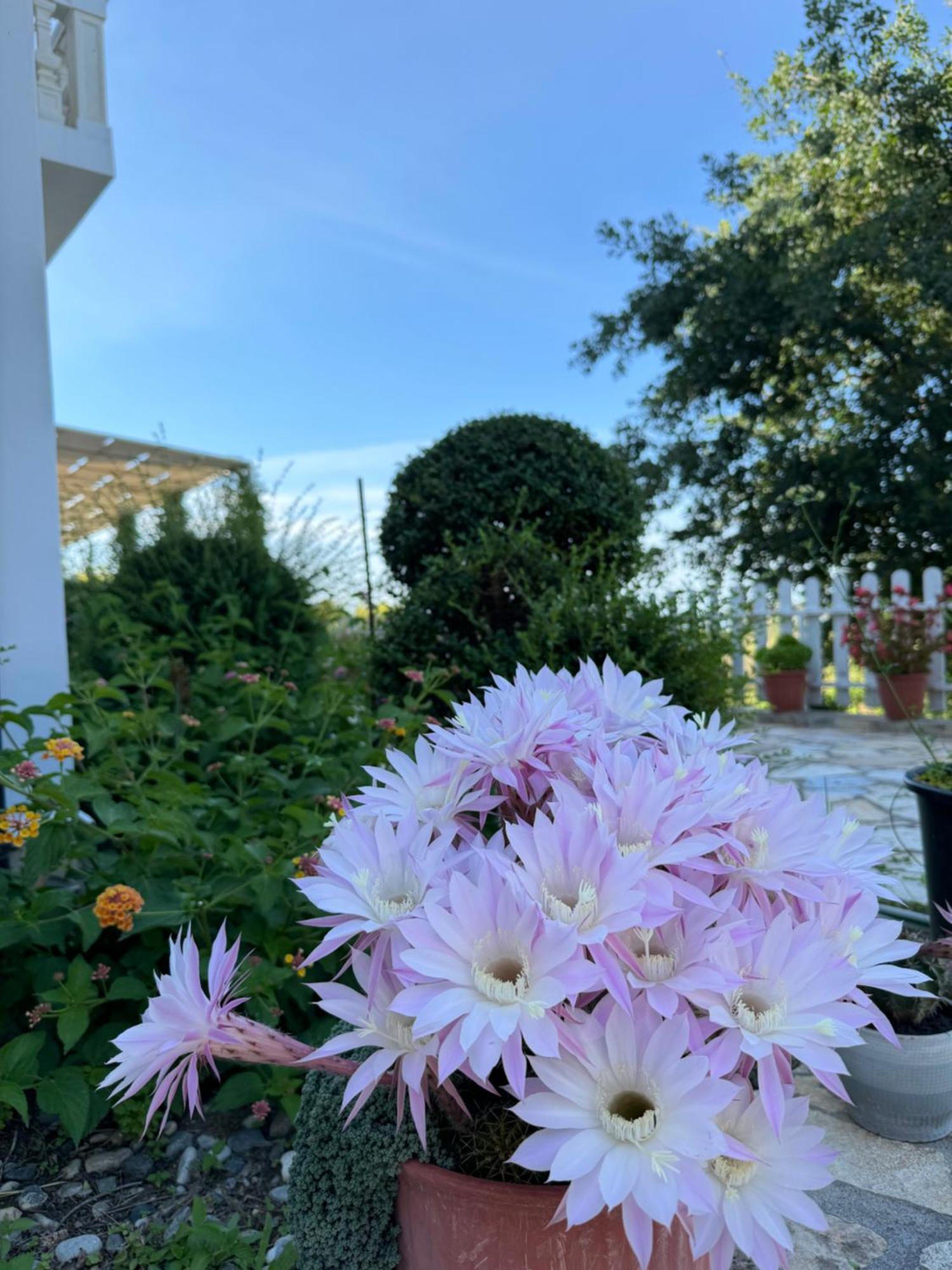 Vila Horizont Baks-Rrjoll Dış mekan fotoğraf